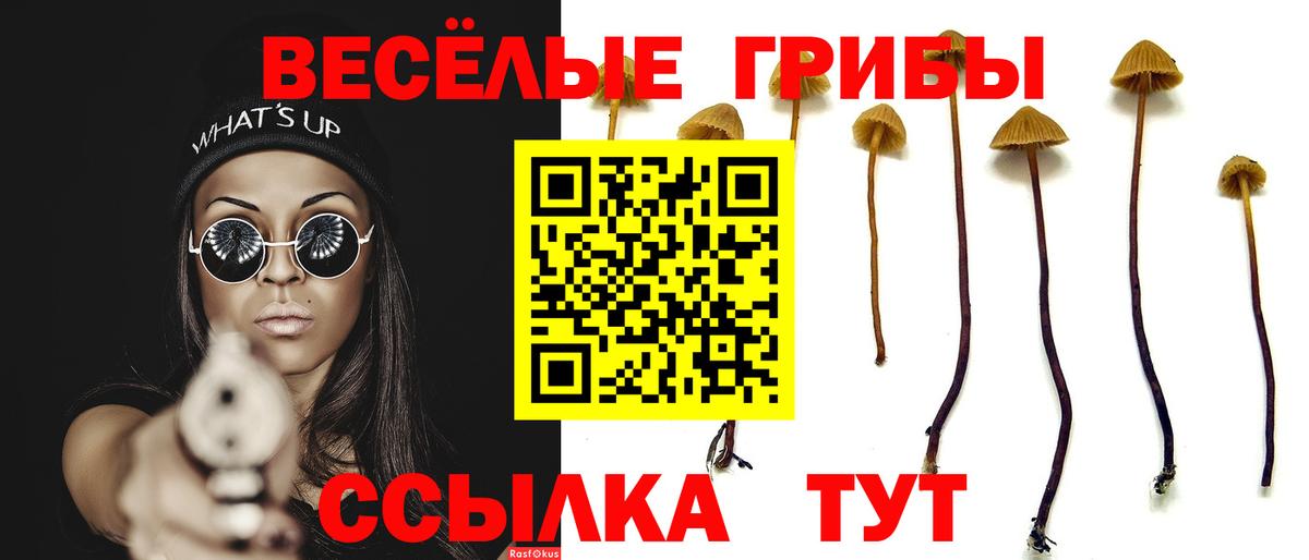 Псилоцибиновые грибы мицелий Елабуга