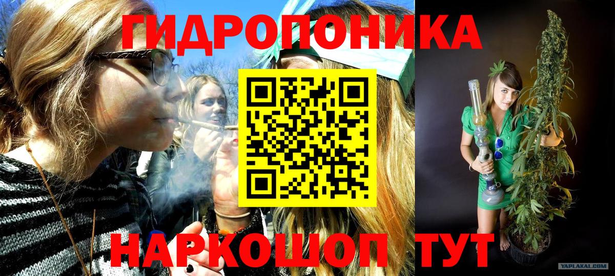Канабис семена Елабуга